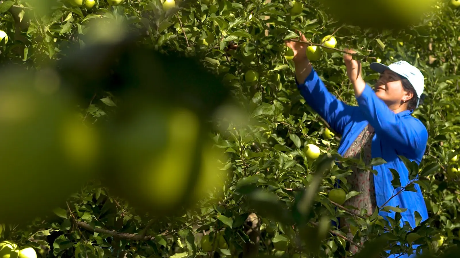 Ukraine has a female face...