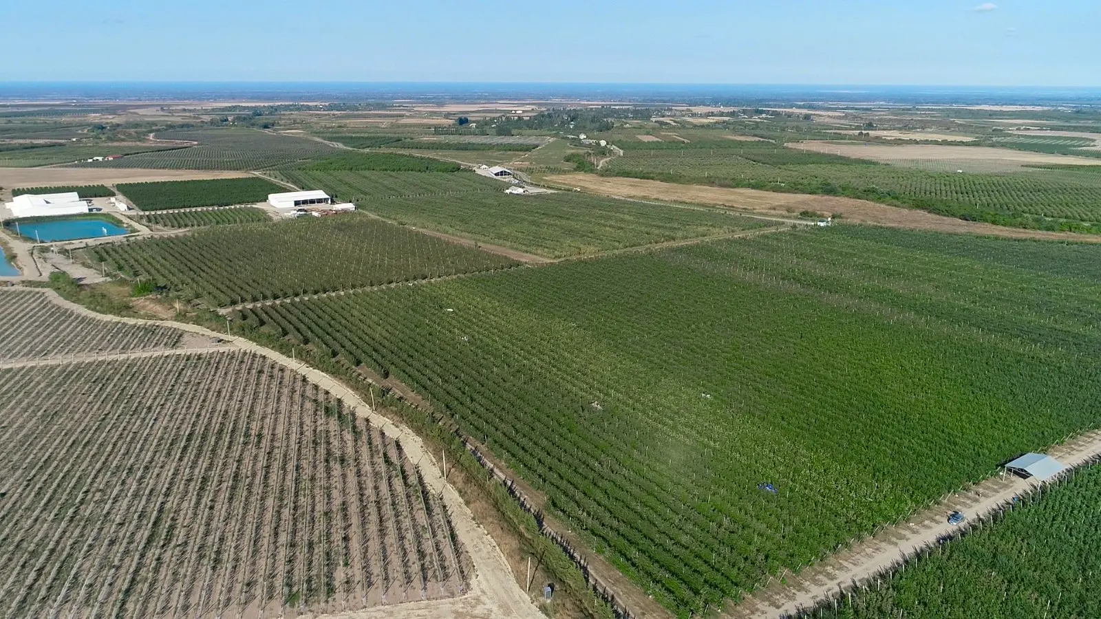 Zəhmətinizi sevin!