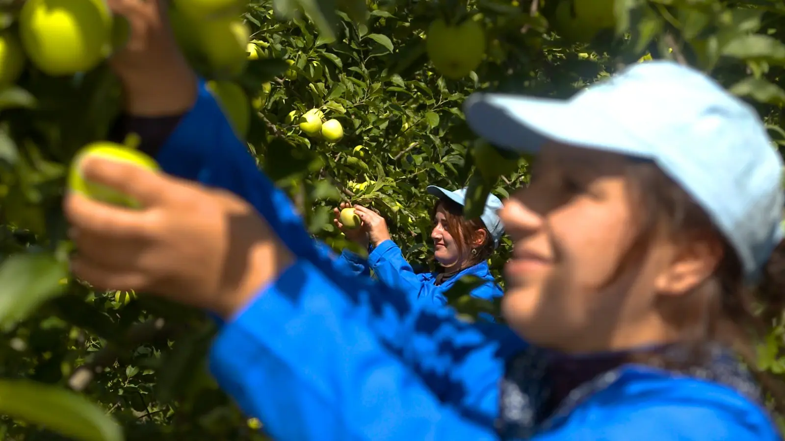Zəhmətinizi sevin!