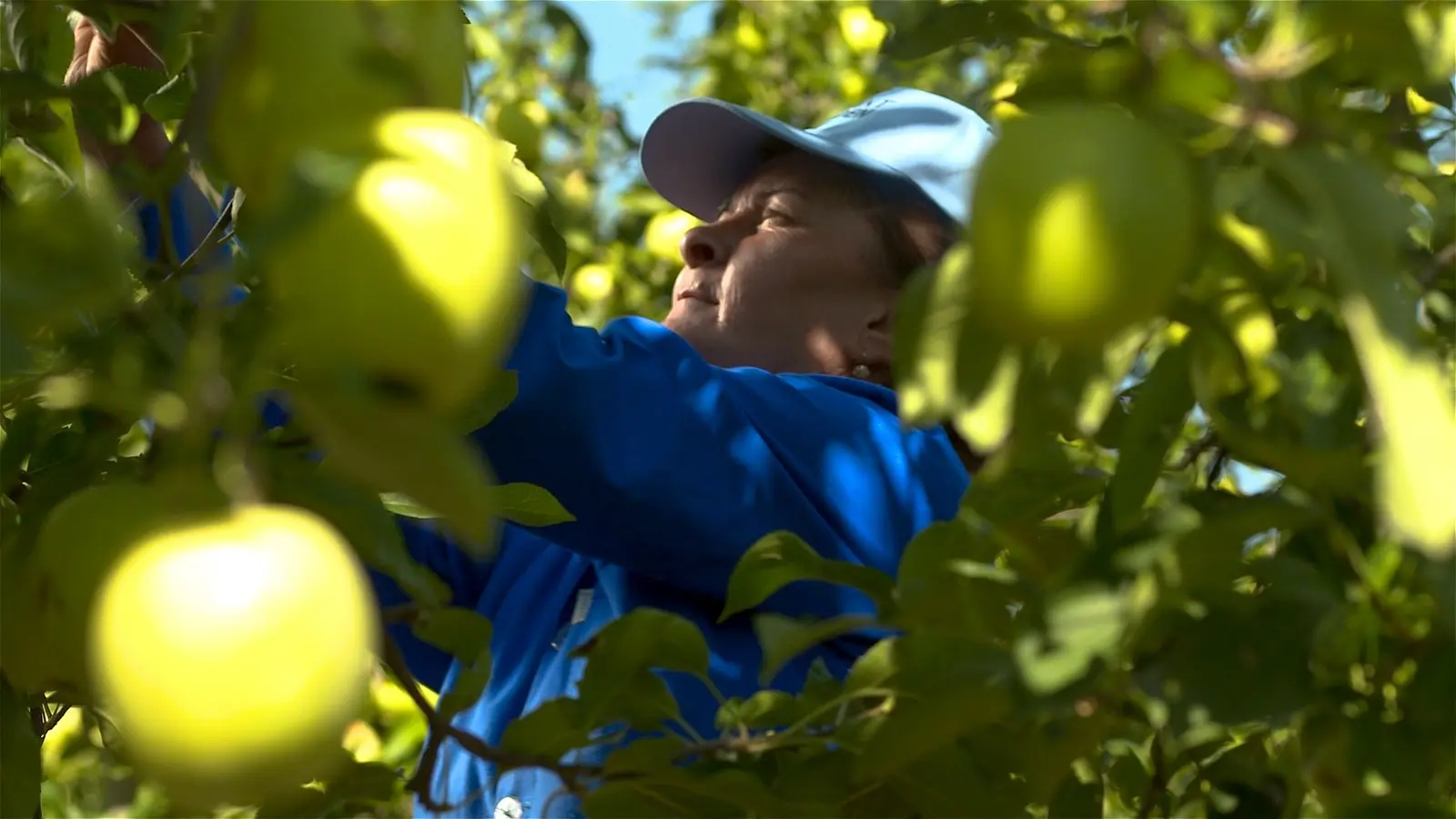 Zəhmətinizi sevin!